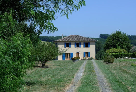 Grapevine chat.... on the story of Saint Amans Gin with Misja Vorstermans, top bartender from Netherlands