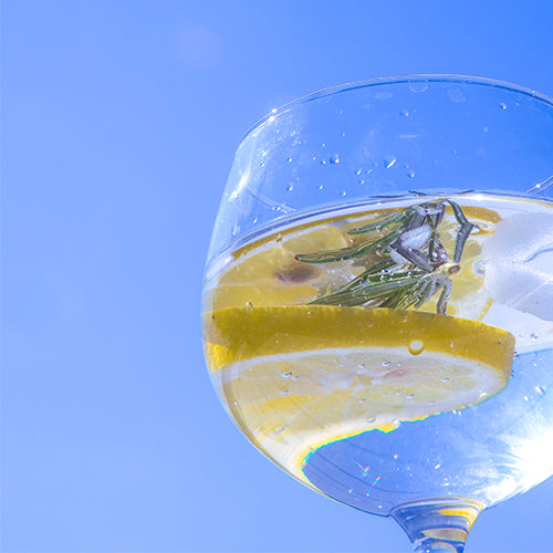 How to taste gin like a pro – chez vous