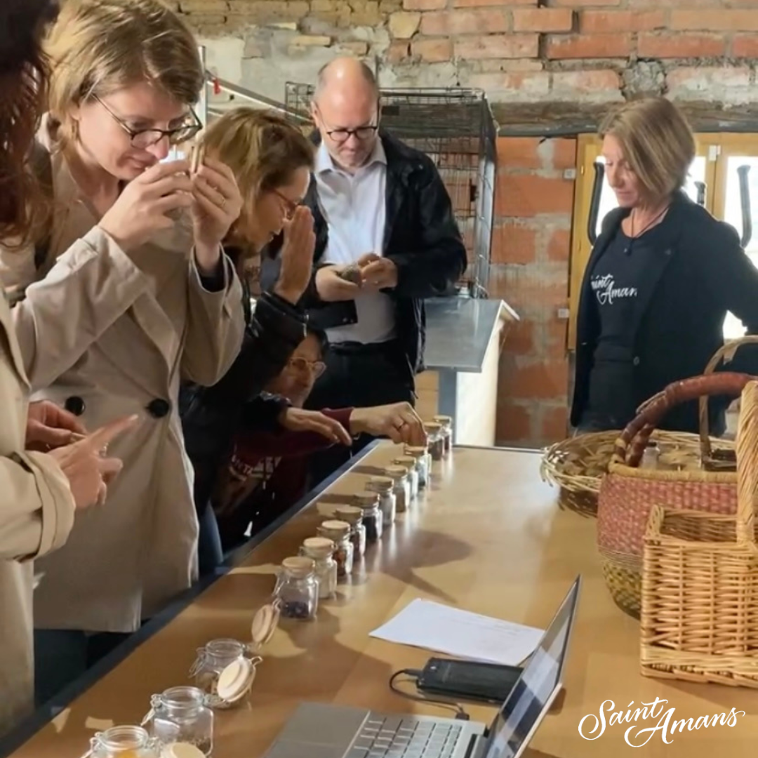 Coffret Découverte Saint Amans Gin