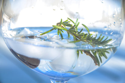 Saint Amans Gin Box Multipack x 6