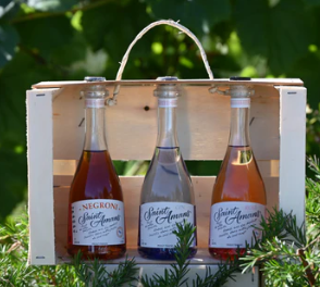 Les Minis 20 cl