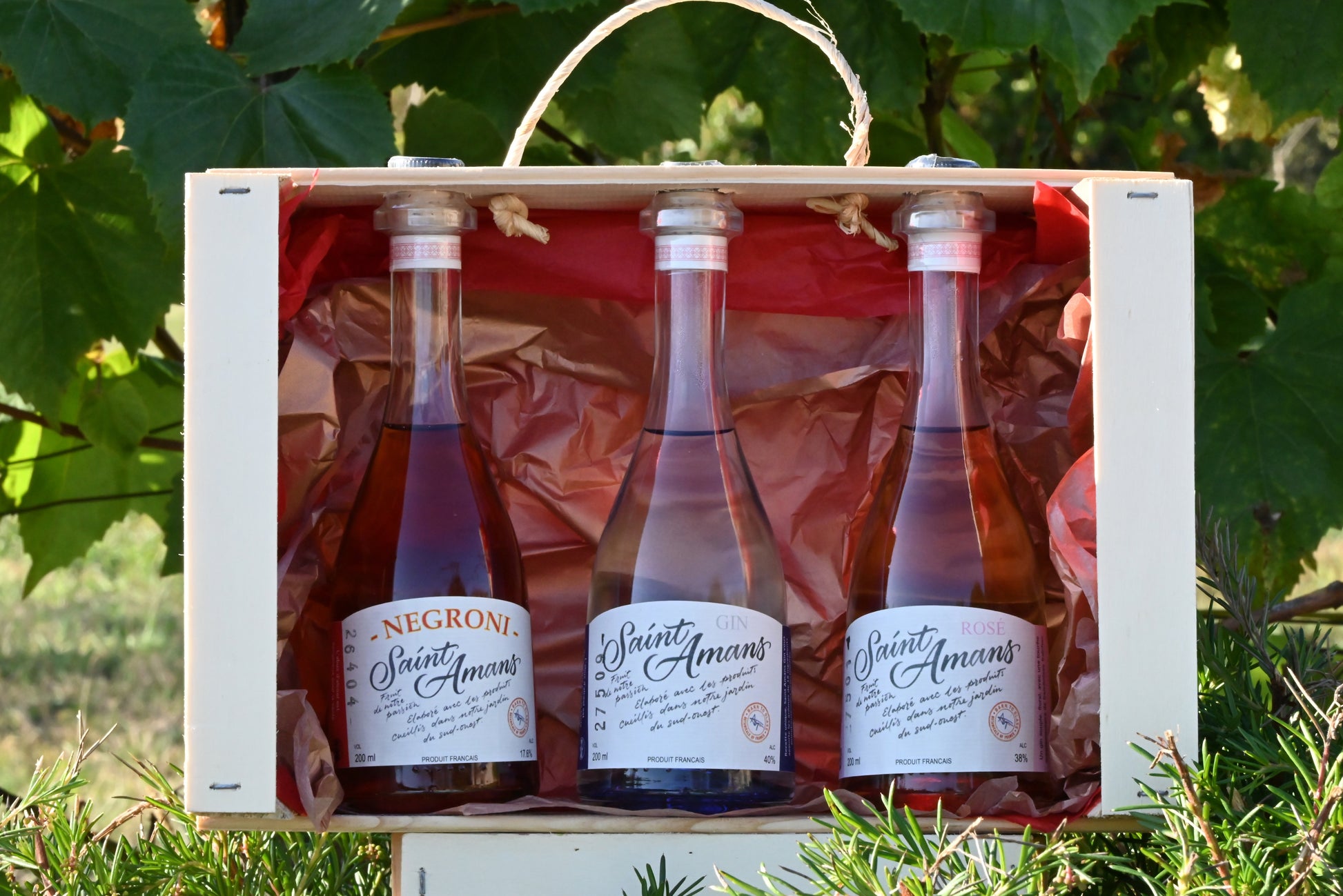 The perfect trio of drinks: our award winning classic French gin, raspberry-filled Rosé Gin and our cocktail, the Negroni by Saint Amans in a lovely case, in our garden. French: Le trio parfait de boissons : notre classique gin français médaillé, notre Gin Rosé infusé aux framboises et notre cocktail, le Negroni par Saint Amans dans une jolie caisse, dans notre jardin.