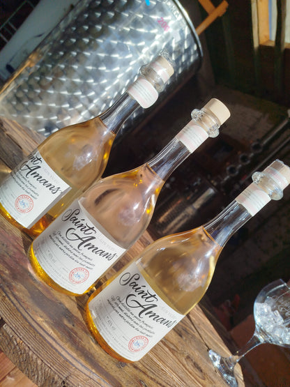 Le Gin Yuzu de Saint Amans